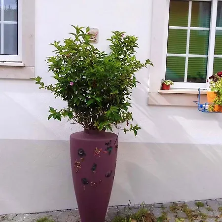 דירה Comfortable In With Shared Pool 30 M² *