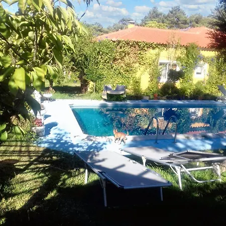 דירה Comfortable In With Shared Pool 30 M²