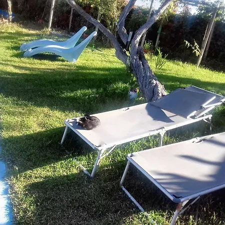 Comfortable In With Shared Pool 30 M² * נאזרה