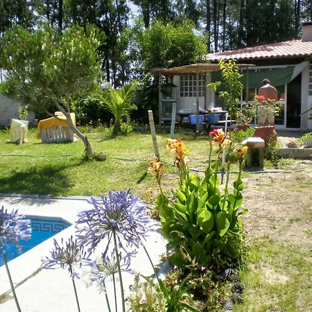 Comfortable In With Shared Pool 30 M² Апартаменты Назаре