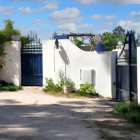 Comfortable In With Shared Pool 30 M² Назаре