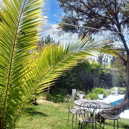 Comfortable In With Shared Pool 30 M² דירה *