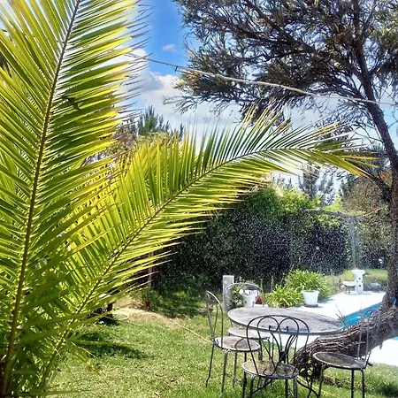 Comfortable In With Shared Pool 30 M² Апартаменты *
